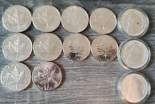 13x silbermünzen 999er gebraucht kaufen  Niedersimten