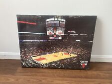 Chicago bulls canvas for sale  Palatine