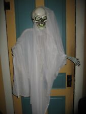 Animated hanging ghost for sale  Carroll