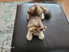 lesley cat for sale  STOKE-ON-TRENT