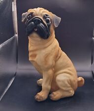 Precious pug wrinkled for sale  Bowling Green