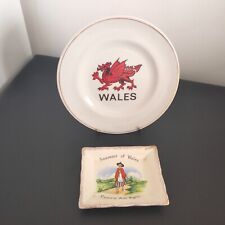 Souvenirs wales plate for sale  SOUTHAMPTON