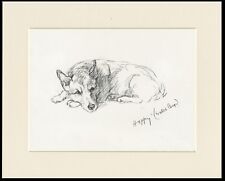 welsh corgi for sale welsh corgi for sale COLEFORD