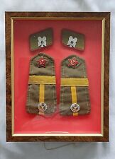 Framed pair epaulettes for sale  KIDDERMINSTER