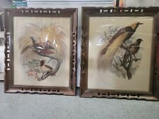 Pair framed exotic for sale  Lebanon