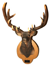 Karl Lansing Hand Cast ELK Head Wall Mount Wildlife Art Sculpture Moose Lodge for sale  Shipping to South Africa