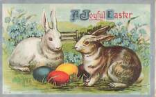 C1910 cute rabbits for sale  Mansfield
