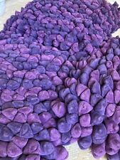 Gorgeous purple dreamweavers for sale  LONDON