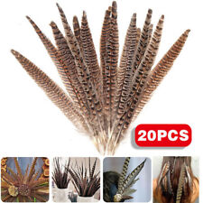 20x natural pheasant for sale  MANCHESTER