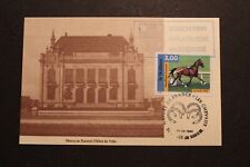 Carte postale chevaux d'occasion  Vallon-Pont-d'Arc