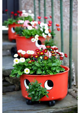 Flower pot flower for sale  SPALDING