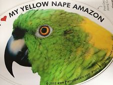 Yellow nape amazon for sale  Asbury Park
