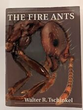 Fire ants for sale  BURY ST. EDMUNDS