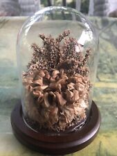 Preserved dried floral for sale  Virgilina