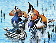 Mandarin ducks pond. for sale  NELSON