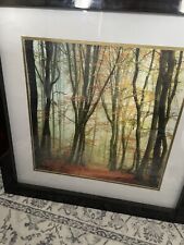 gorgeous framed matted prints for sale  Malden