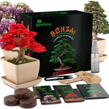Bonsai kit inicial completo 4 sementes, usado comprar usado  Enviando para Brazil