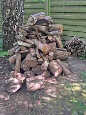 Brennholz kaminholz stammholz gebraucht kaufen  Seevetal