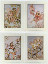 Flower fairies cicely for sale  STOURPORT-ON-SEVERN
