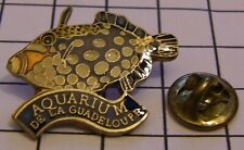 Guadeloupe aquarium pins d'occasion  Expédié en Belgium