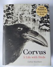 Corvus life birds for sale  Ireland