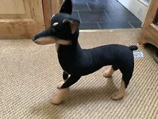 Doberman pincer hansa for sale  TENBY