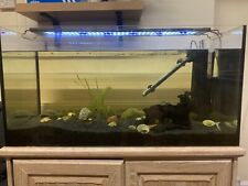 Fish tank for sale  YORK