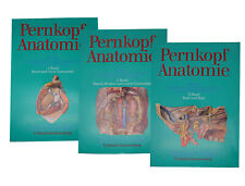 Pernkopf atlas anatomie gebraucht kaufen  Pattensen