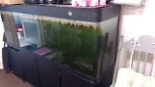 Large aquarium cleair for sale  LONDON