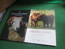 British cattle british for sale  WORTHING