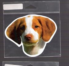 Brittany spaniel inch for sale  Myrtle Beach
