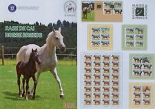 Rumänien 2022 pferde gebraucht kaufen  Schwabach