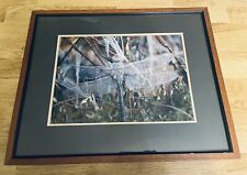 Framed dragonfly matted for sale  Leicester