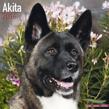 Calendrier 2016 akita d'occasion  Troyes