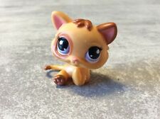 Littlest petshop chaton d'occasion  Le Luc