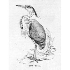 Birds heron antique for sale  Shipping to Ireland