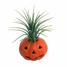 Ceramic pumpkin planter for sale  Wadsworth