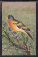 Cartolina uccello illustratore usato  Italia