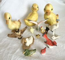 chickens ducks for sale  Loogootee