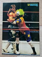 Wwf wrestling poster gebraucht kaufen  Schwarzenberg