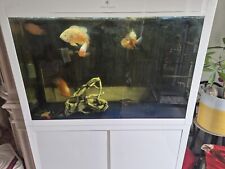 Clearair fish tank for sale  ROCHFORD