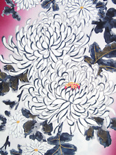 Ayane chrysanthemums burgandy for sale  HATFIELD