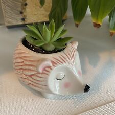 Ceramic hedgehog succulent for sale  Kansas City