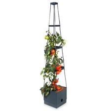 Pflanzturm tomatenturm tomaten gebraucht kaufen  Stuhr