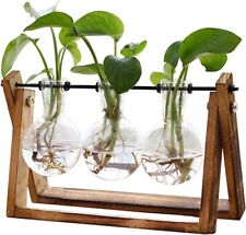 Plant terrarium wooden for sale  Henderson