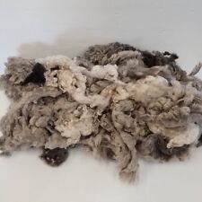 Raw sheep fleece for sale  HAVERFORDWEST