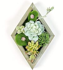 Used, Artificial Succulent Wall Art Flower Decor 11" x 7" Rustic Frame for sale  Shipping to South Africa