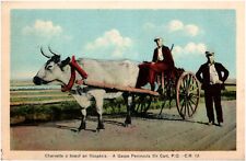 Cartão postal Gaspe Peninsula Ox Cart Quebec Canadá Gaspesia Oxen 1936 comprar usado  Enviando para Brazil