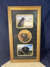 Framed chocolate lab for sale  King George