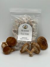 Shiitake mushroom plug for sale  Annville